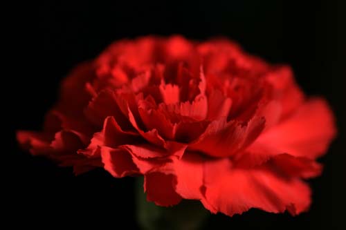 a_DSC02738